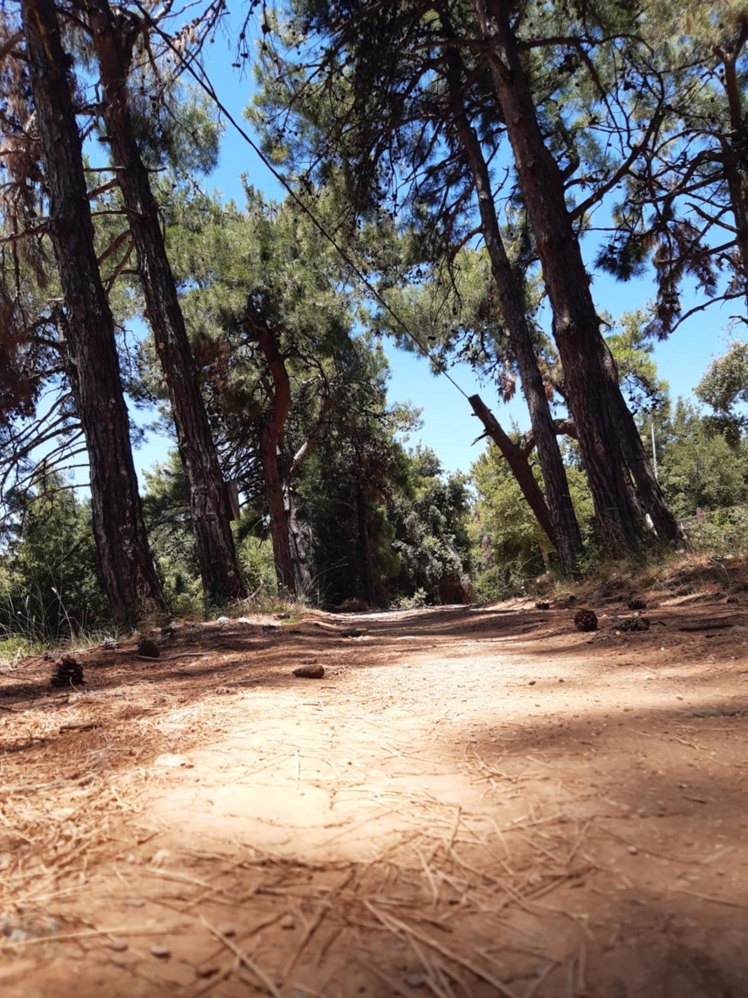 Kouros Villa! Paltsi Pilion Esterno foto