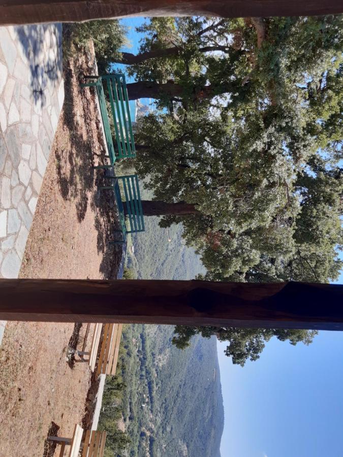 Kouros Villa! Paltsi Pilion Esterno foto