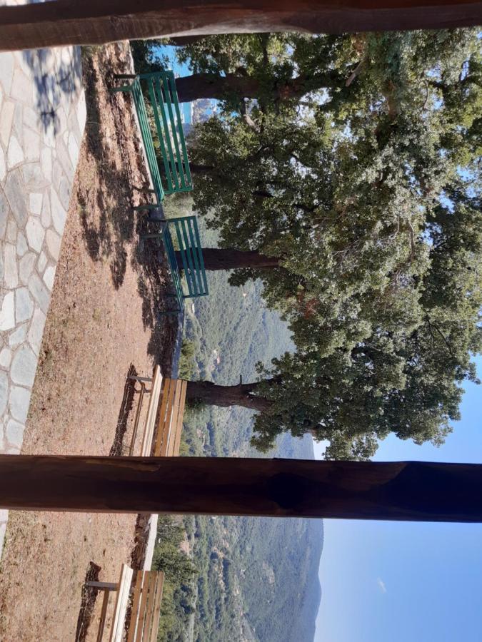 Kouros Villa! Paltsi Pilion Esterno foto